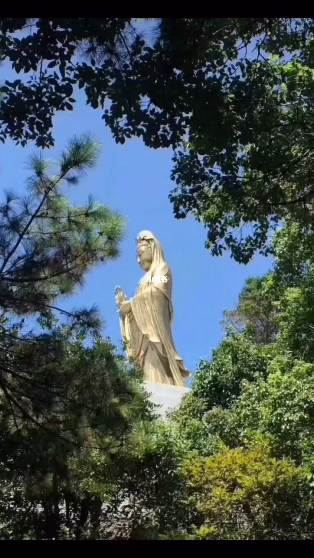 梦幻西游普陀山怎么加点_梦幻西游普陀山吧_梦幻西游普陀山技能介绍
