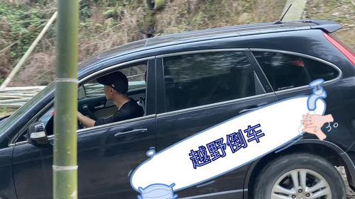 3D倒车游戏:娱乐与挑战 3D倒车游戏:娱乐与挑战