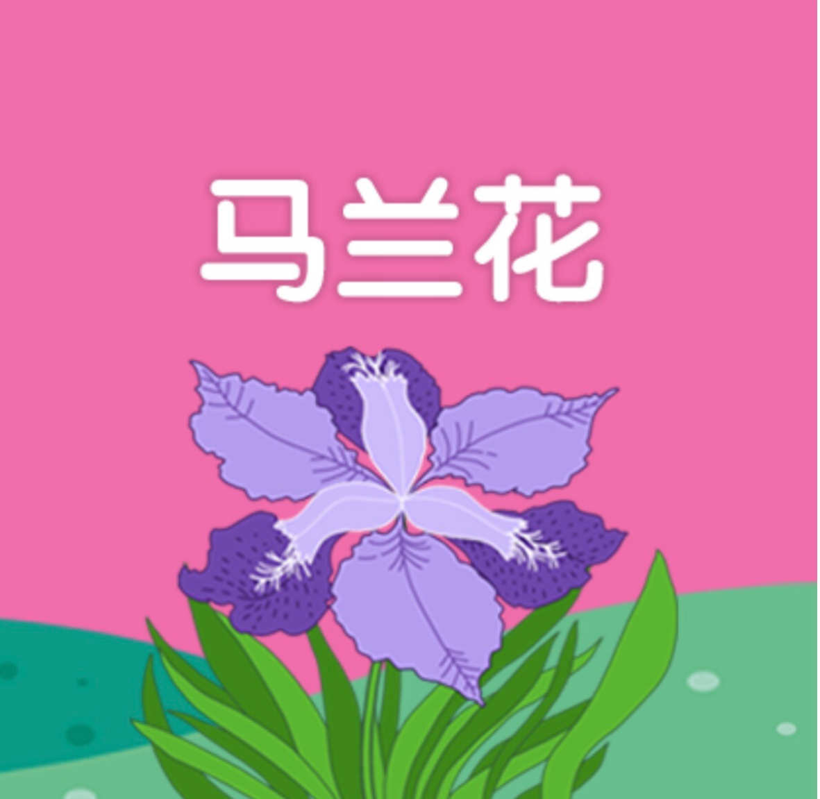 马兰开花游戏幼儿视频_小游戏马兰花开_马兰花开游戏