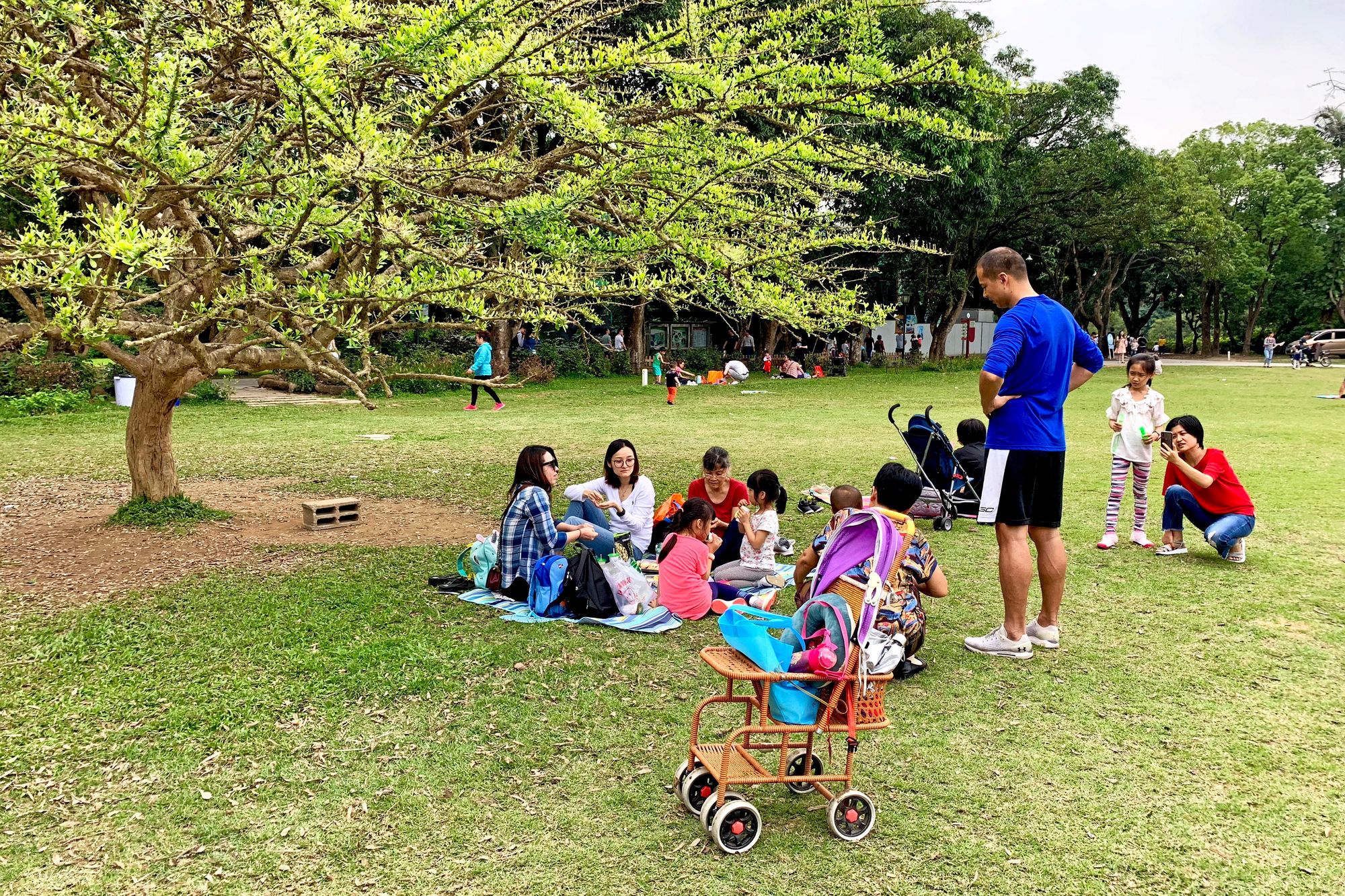 一同去郊游 游戏_去郊游小游戏_郊游小游戏活跃气氛