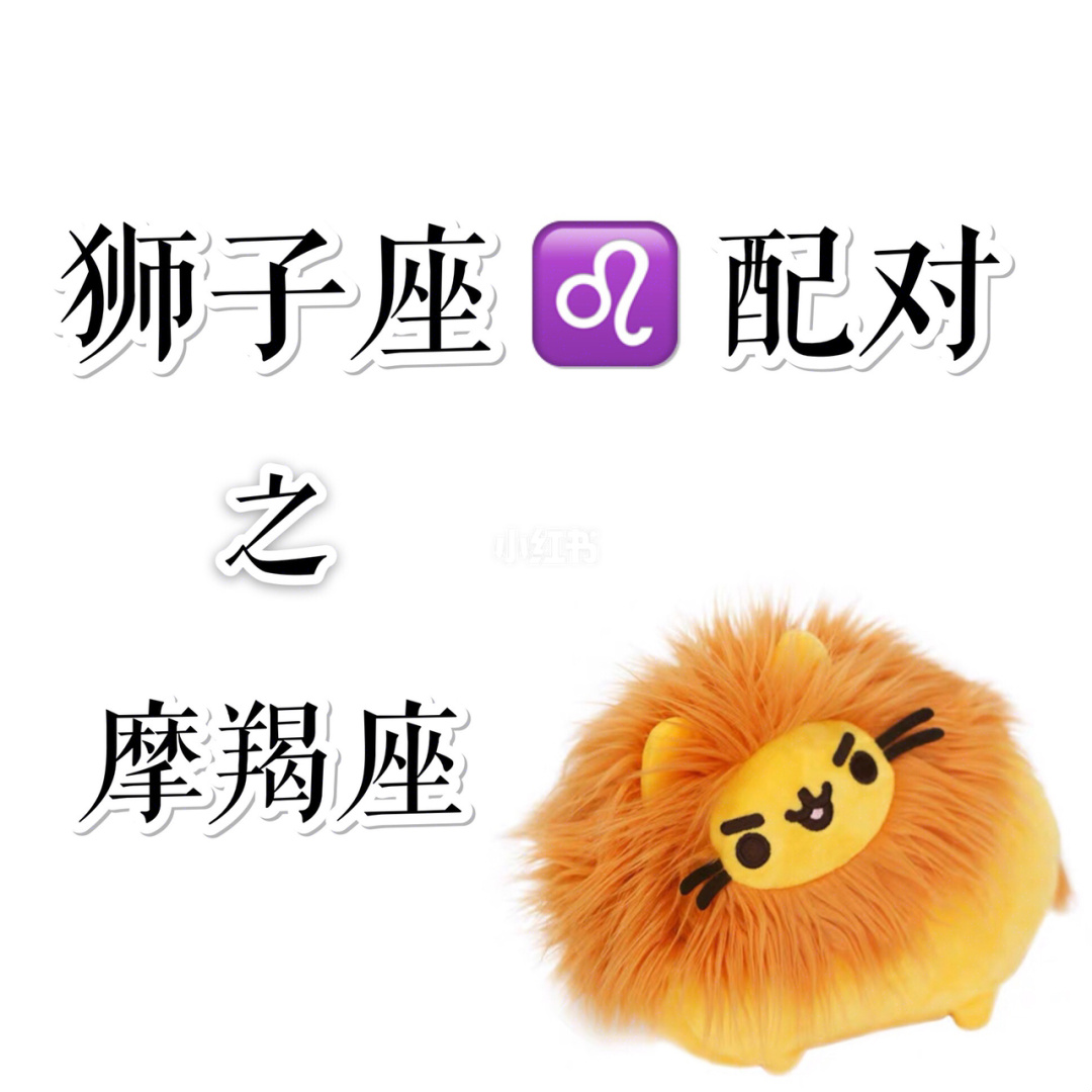 摩羯座狮子配对指数_摩羯座和狮子座_摩羯狮子是不是不合