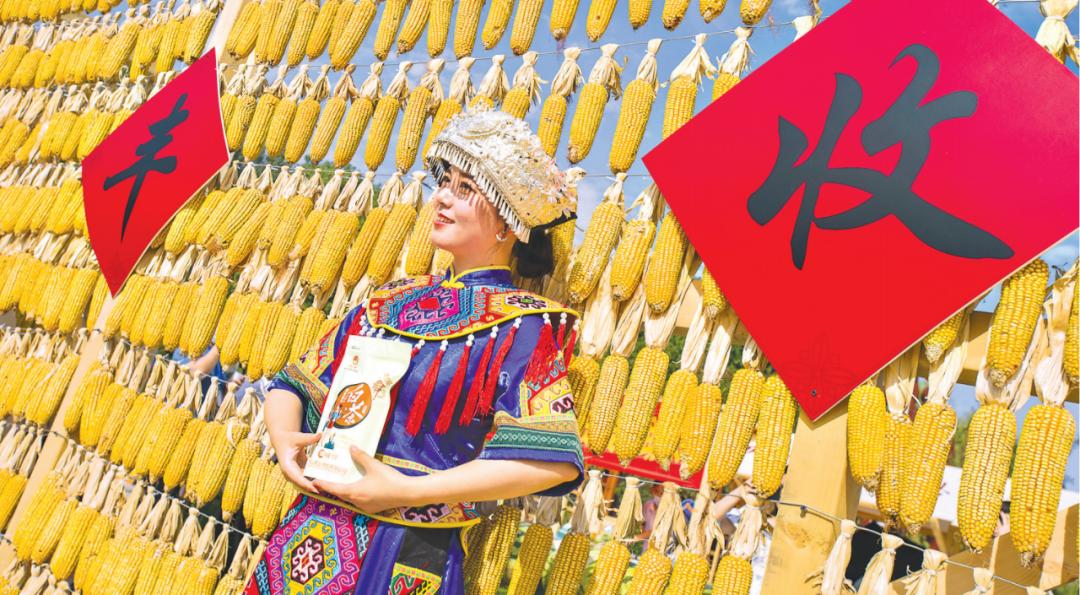 丰收日10大名菜_郑州皇家一号国际娱乐会所_大丰收国际娱乐