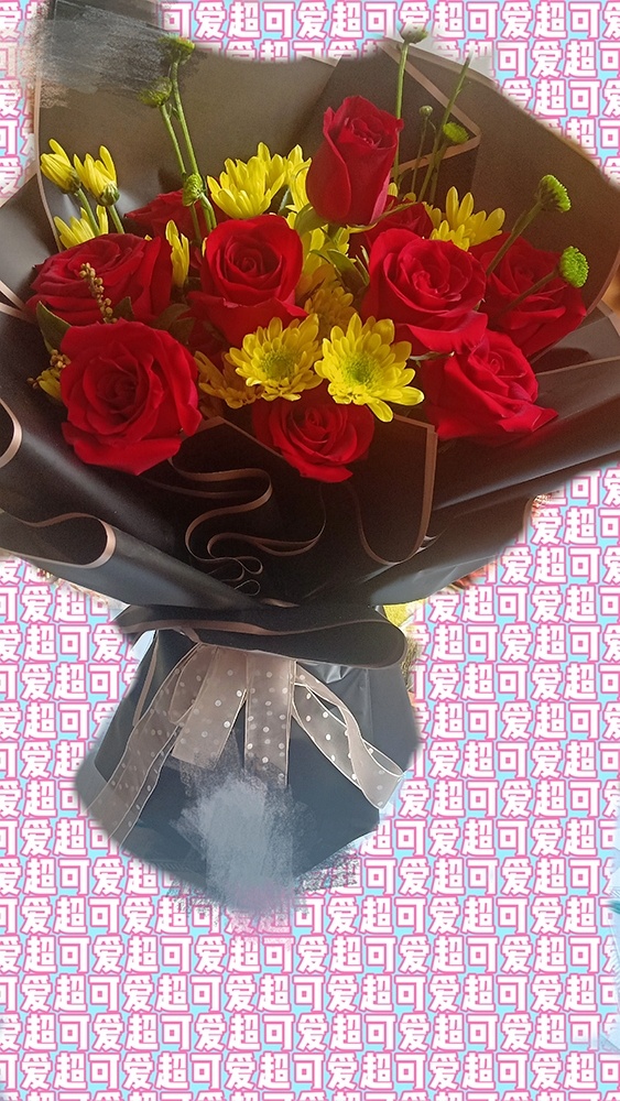 玫瑰情人节啥意思_情人节的玫瑰_情人玫瑰花语