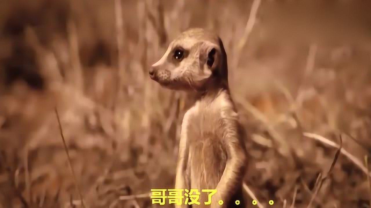 哥哥去在线欧美图片_哥哥去图片_哥哥去哥哥射