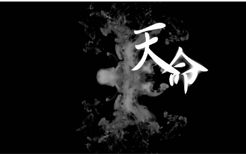 真假难辨游戏道具_真假难辨游戏_王牌对王牌真假难辨游戏