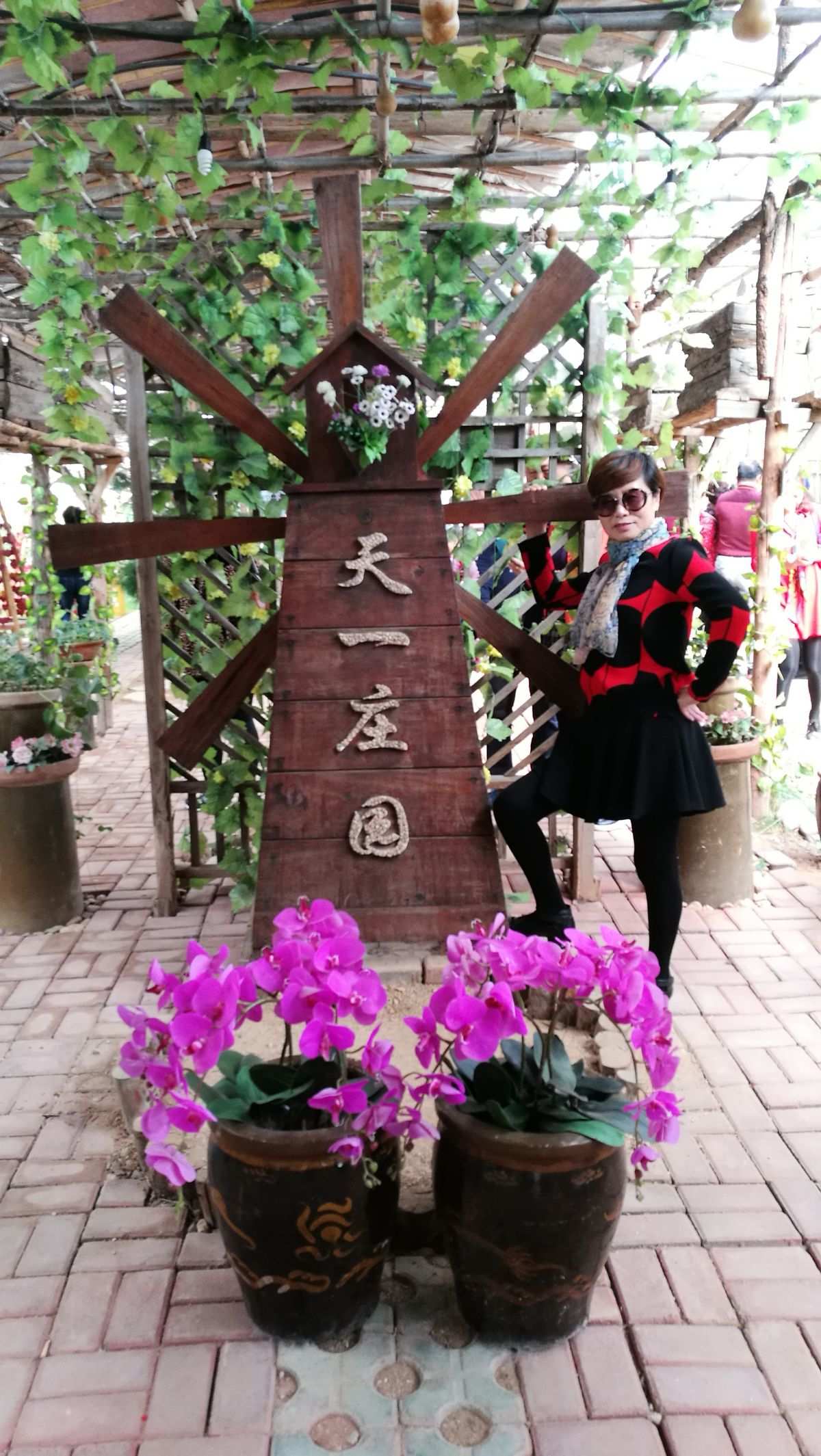 画风清新的庄园游戏_画风清新内容治愈的游戏_画风清新的小游戏推荐
