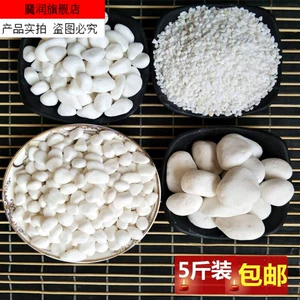 小时候玩的蘑菇游戏叫什么名字_小时候的游戏 蘑菇_蘑菇游戏玩
