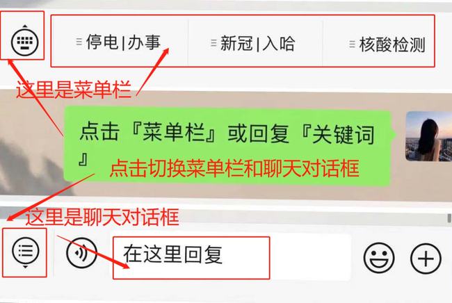 聊天室车行游戏_聊天室车行游戏都关了吗_聊天室车行游戏币作弊