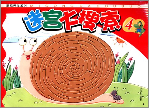 解谜迷宫：智慧与陷阱