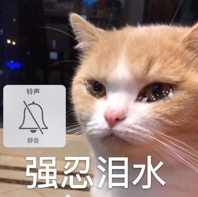 喵_喵特_喵太与博美子
