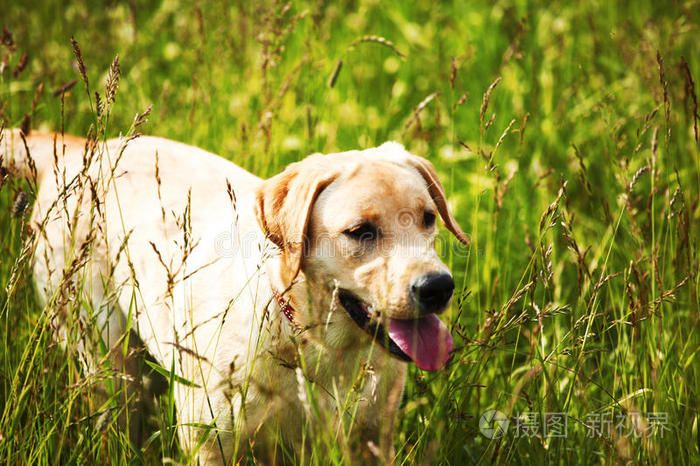 drakedog10音乐_drakedog10音乐合集_drakedog10