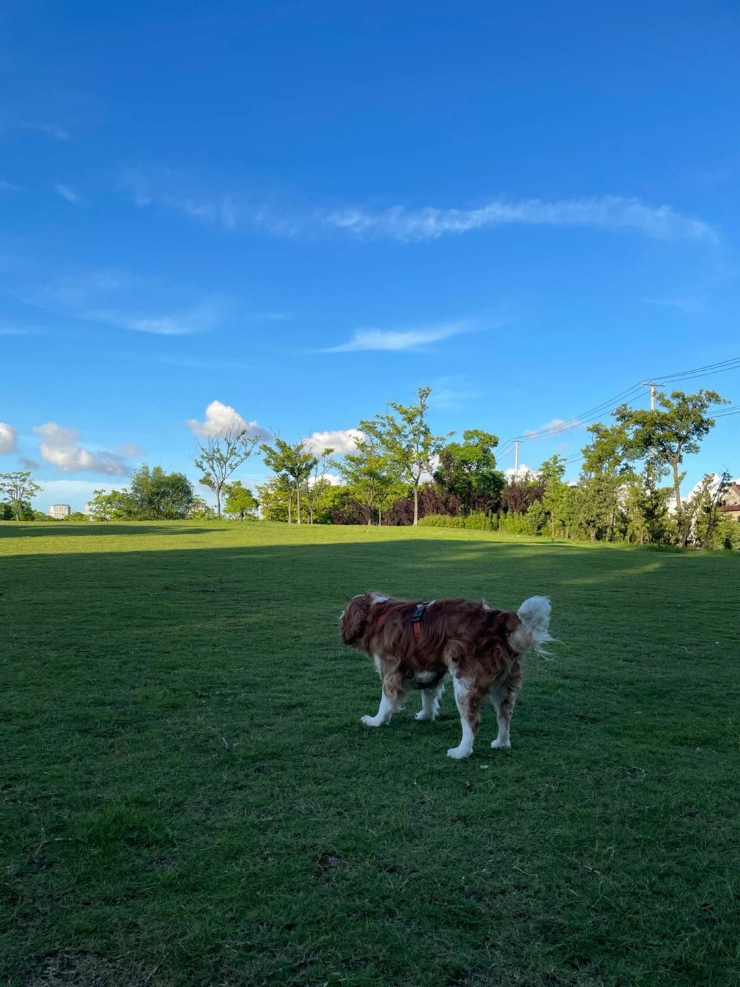 drakedog10_drakedog10音乐_drakedog10音乐合集