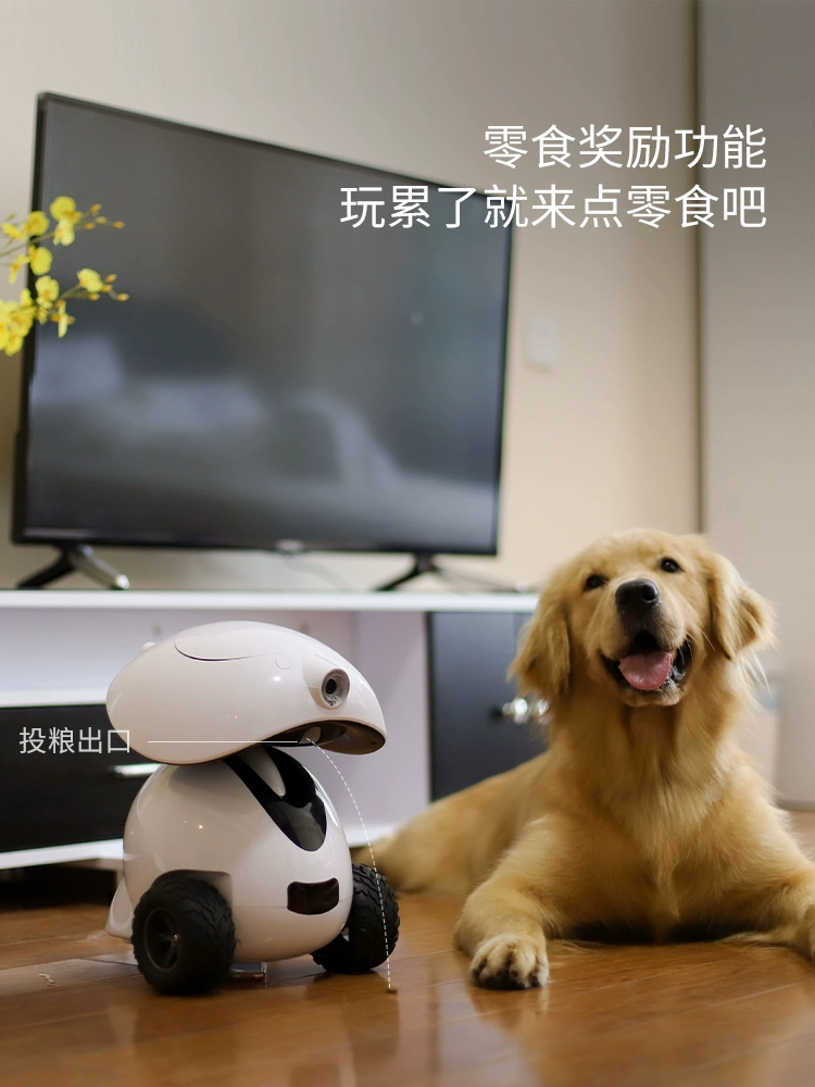 q宠大乐斗活动_q宠物_q宠大乐斗签到