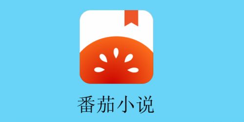 番茄免费听书小说收费吗_番茄免费听书软件全免费_番茄免费听小说app