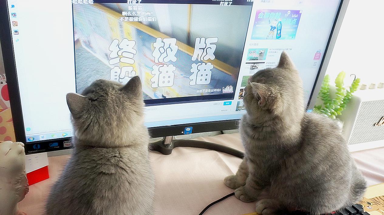 快猫短视频在线观看_猫咪视频在线上_黄色手机视频在线免费观看