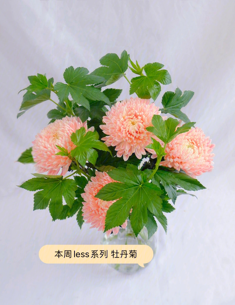 蜀门百花加点_蜀门百花加血量_蜀门百花怎么加点