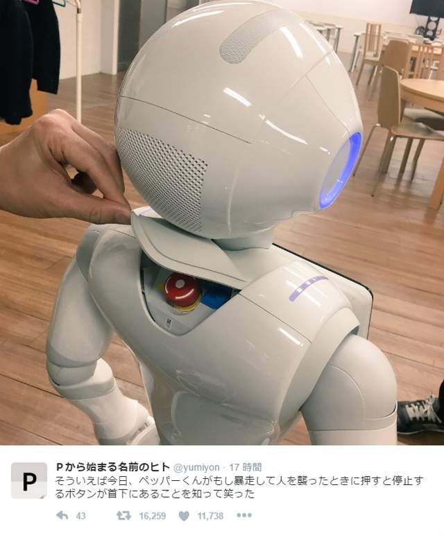 理之冠