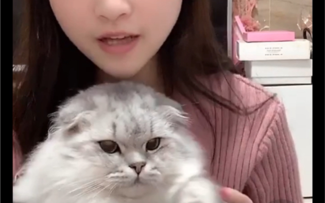 柚子皮怎么做好吃视频_柚子猫视频_omg柚子骂人视频