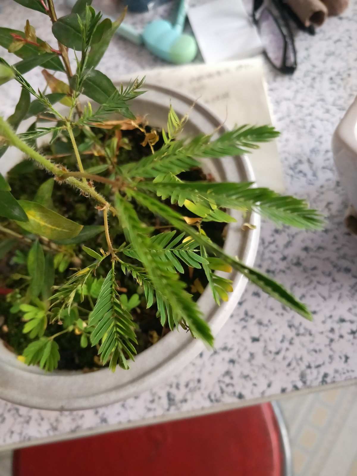 硕研国际结算实验答案_看研报有哪些网站_含羞草实验研所网站免费进入