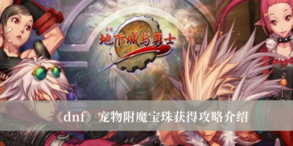 五一宠物附魔宝珠叫什么_五一套宠物宝珠_五一宝珠宠物附魔叫什么名字