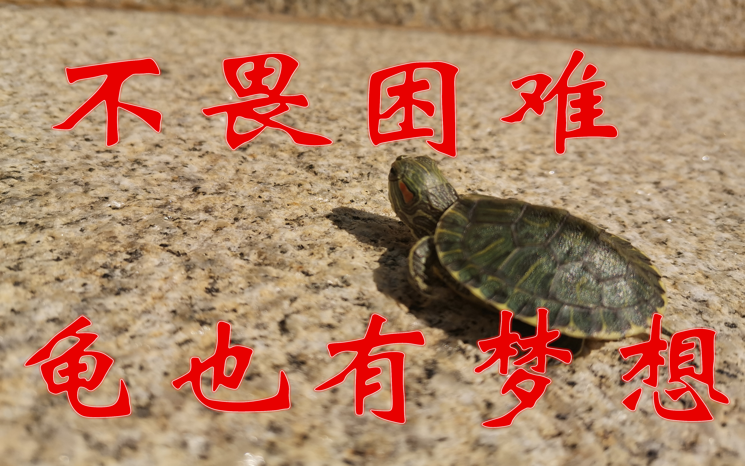 火影忍者终极奥义_哲学的终极奥义_终极奥义