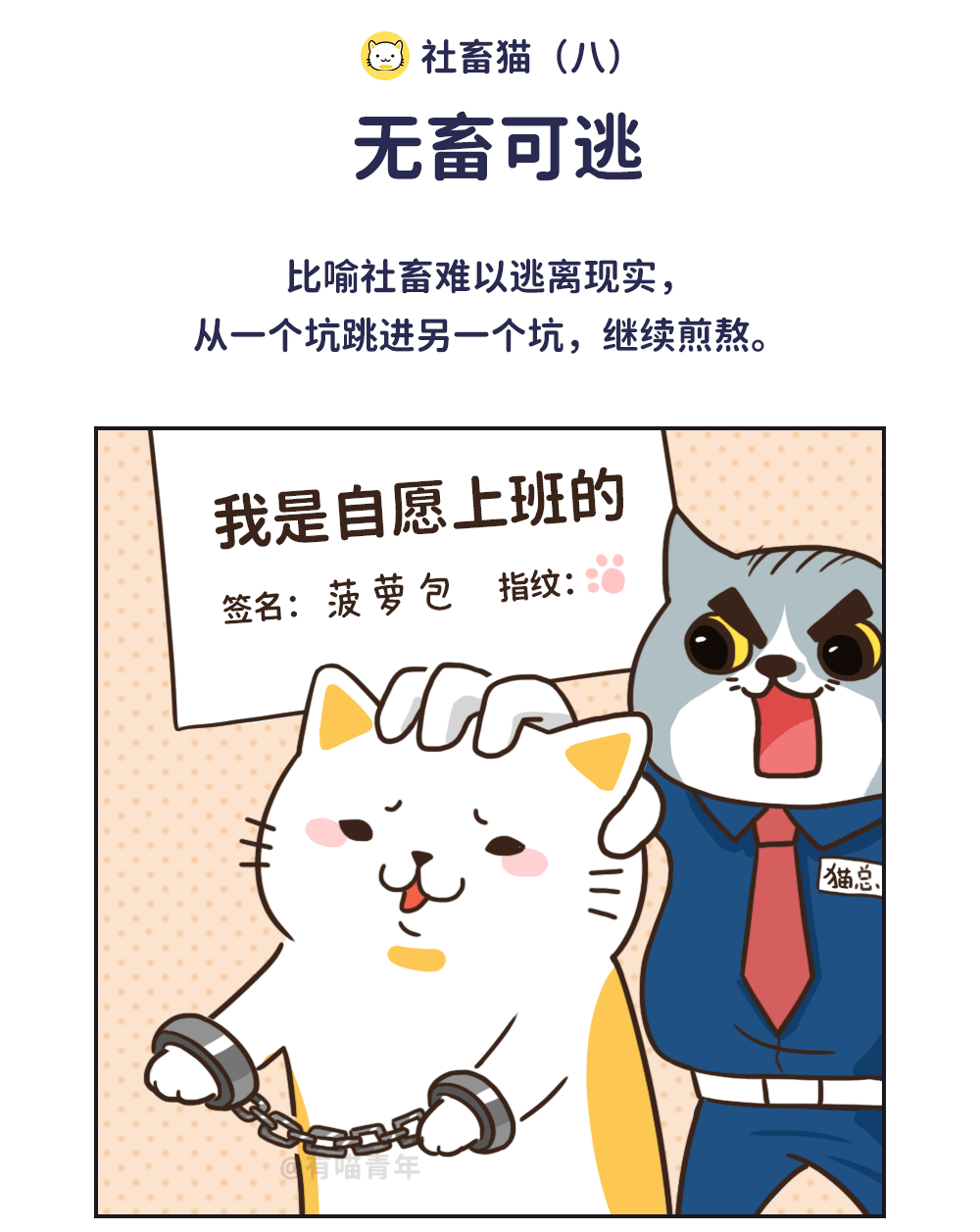 转移到ios下载官方版_转移到iosapp下载官网_转移到ios官方免费下载