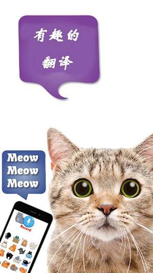 楠楠猫言猫语三亚游记_猫语翻译器在线使用_蒙语语音翻译翻译在线