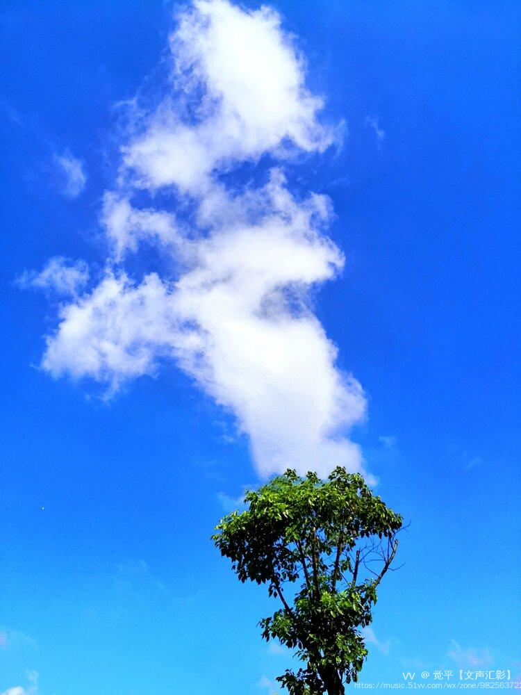 利云_利云度夫斯基_利云卡盟
