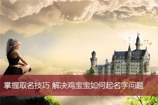 吃鸡重复名生成器_吃鸡重复明生成器_重复名生成器