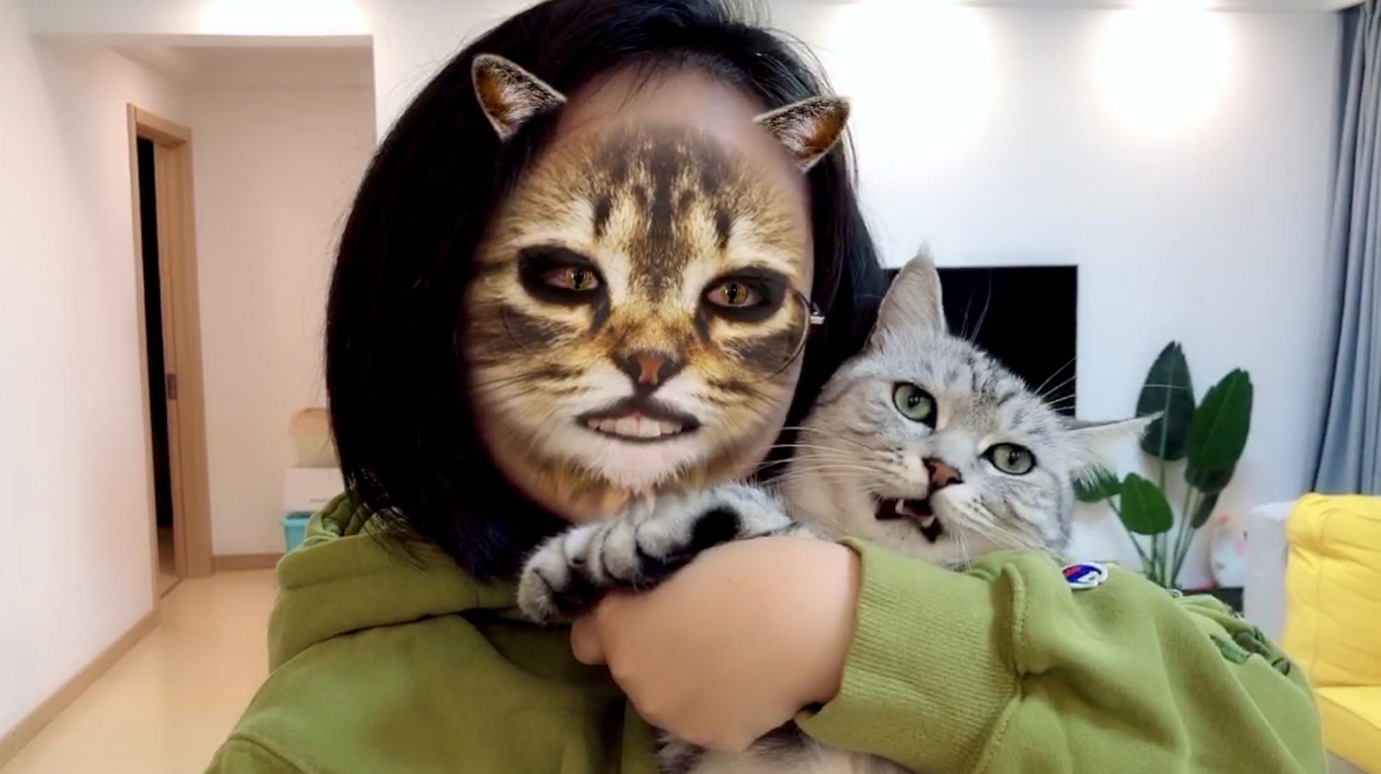 猫里奥网页版_猫里奥3d版_猫里奥