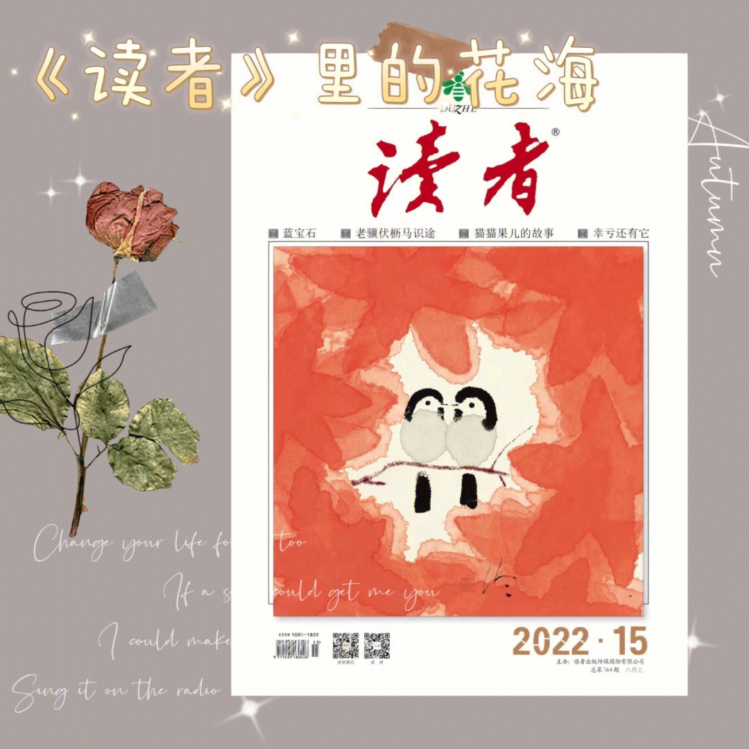 看小说的app_小说看多了影响性格_小说看多了文笔会变好吗