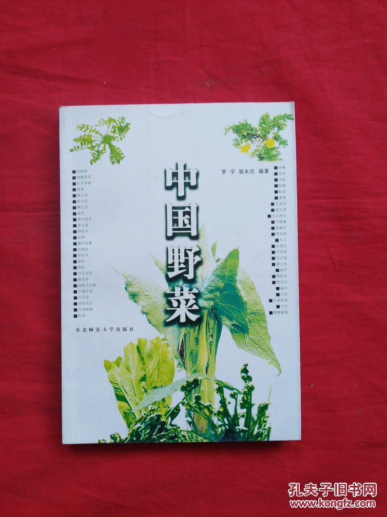 基萨尔野菜_基萨尔野菜怎么找_wow基萨尔野菜哪里买