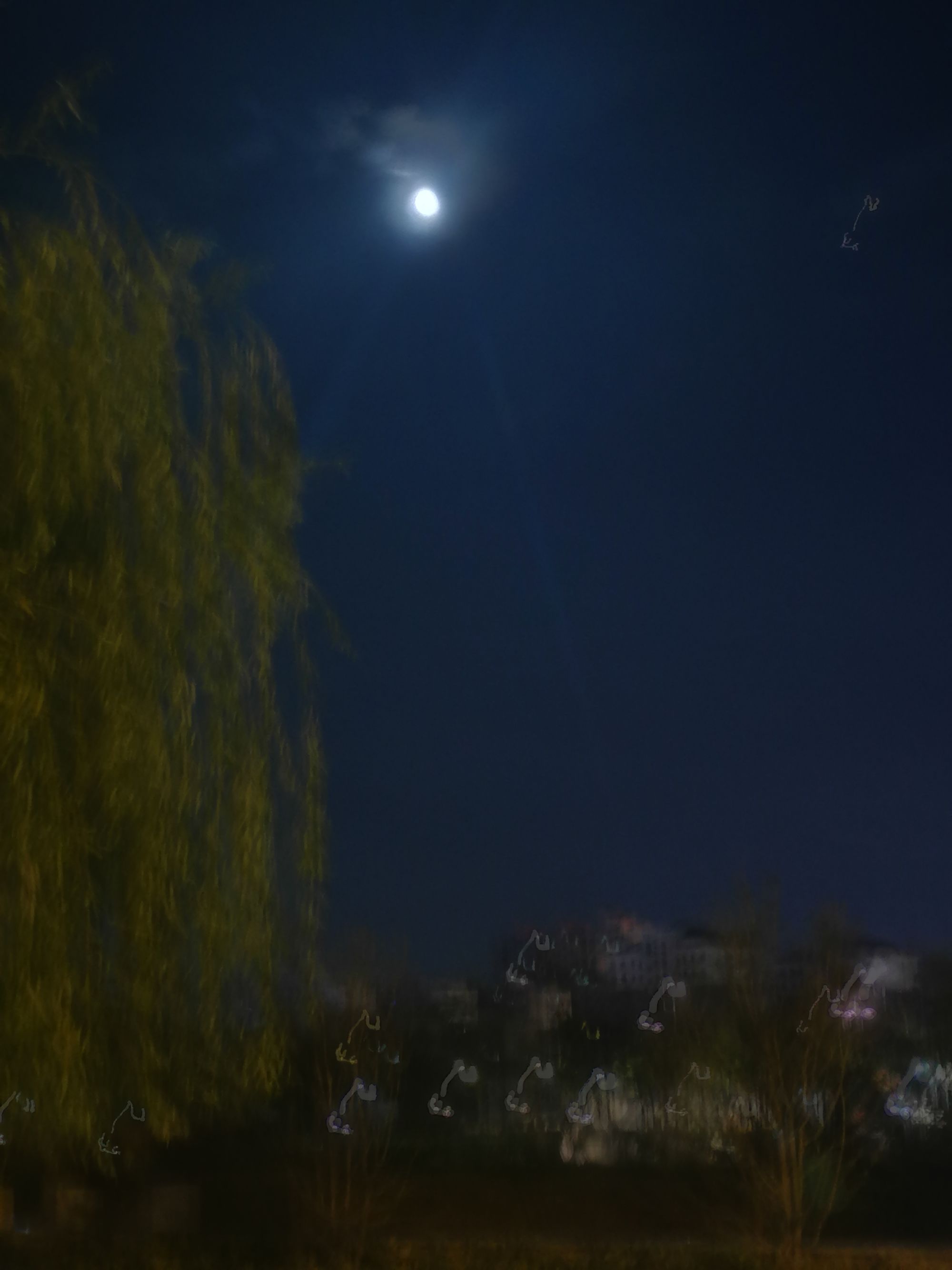 每晚夜里自我独行随处荡多冰冷_每晚夜里自我独行是什么歌_冷夜中我独自行走