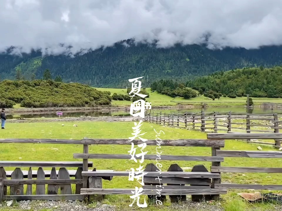 老凌影色_夏色泡影_夏色泡影讲的到底是什么