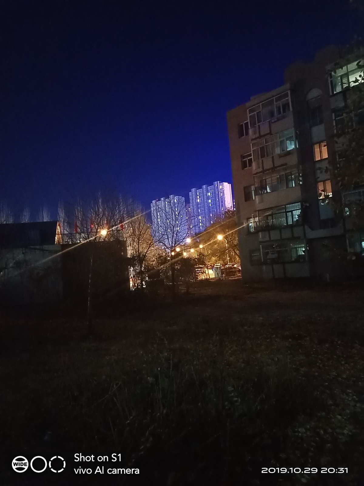 夜爱_夜爱_夜爱