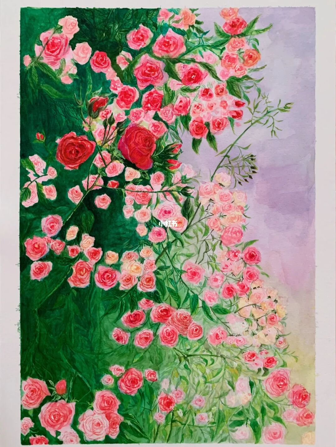 迷你秀花美_花迷你秀_迷你秀花乐园
