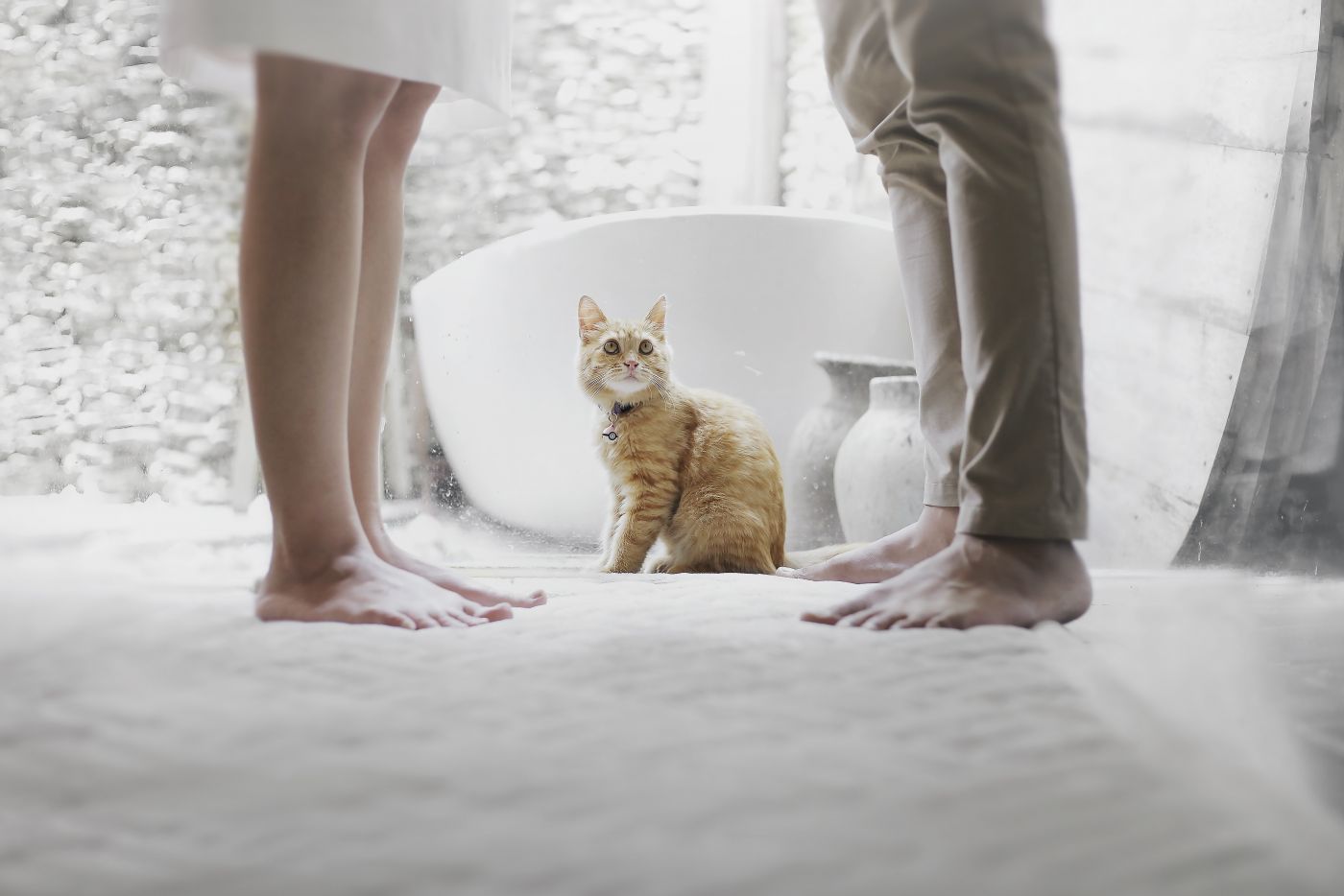 猫咪社区在线观看_猫咪社区在线观看_猫咪社区在线观看