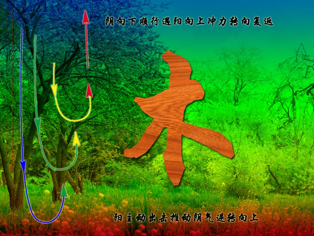 五行修神诀境界划分_五行修神决笔趣阁_五行修神决