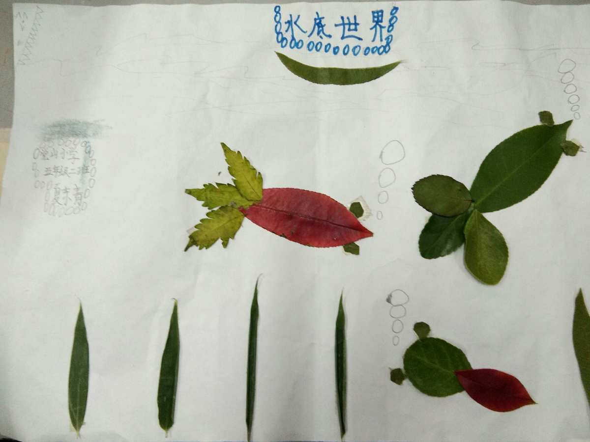 古树旋律_古树旋律花钱吗_古树旋律树