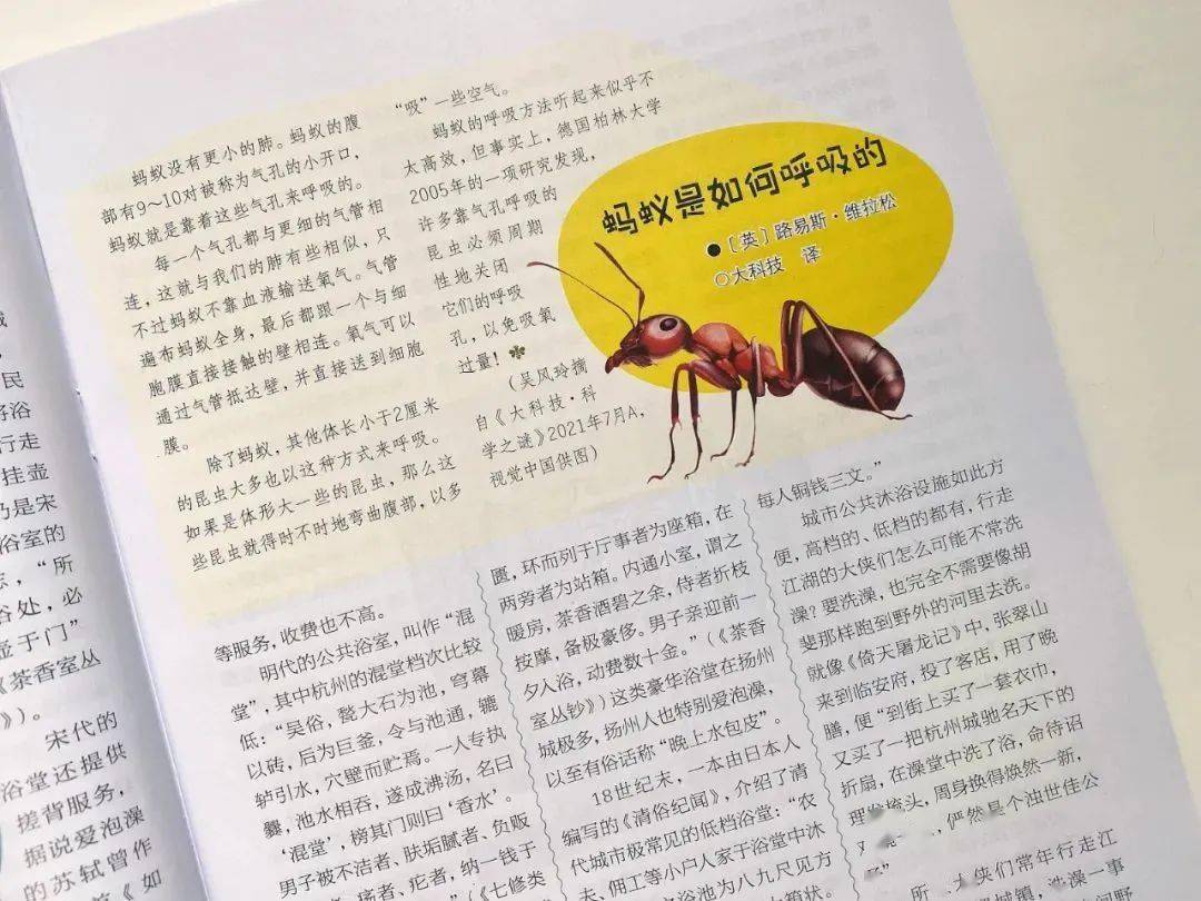 如梦奇谭八行书_梦幻看戏八行书_八行书攻略