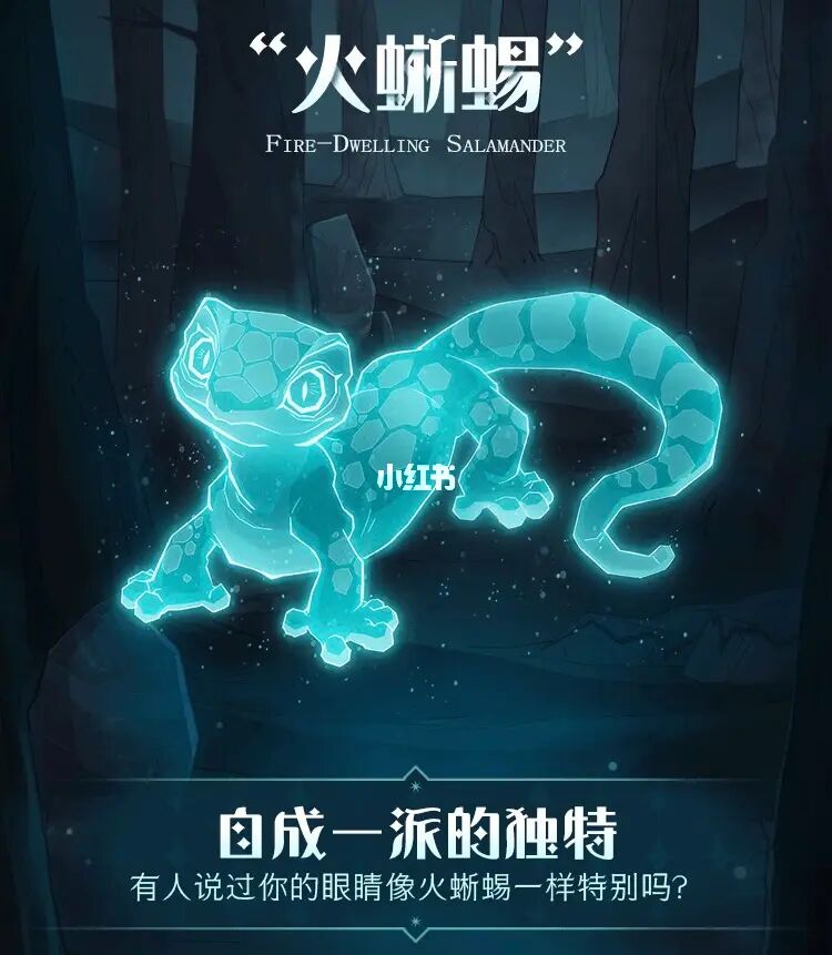 哈利波特守护神测试中文官网_哈利波特守护神测试免费_哈利波特守护神测试