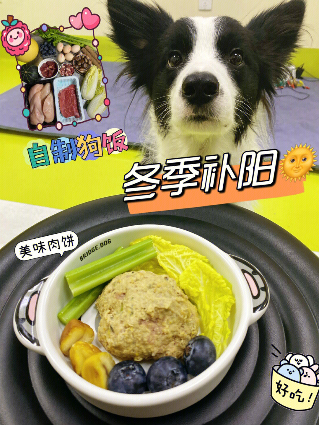 狗杂_杂狗日语_杂狗是什么意思