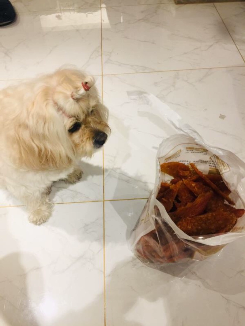 狗杂_杂狗日语_杂狗是什么意思