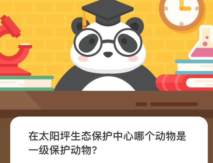动物园游戏_疯狂动物园游戏_动物园游戏规则
