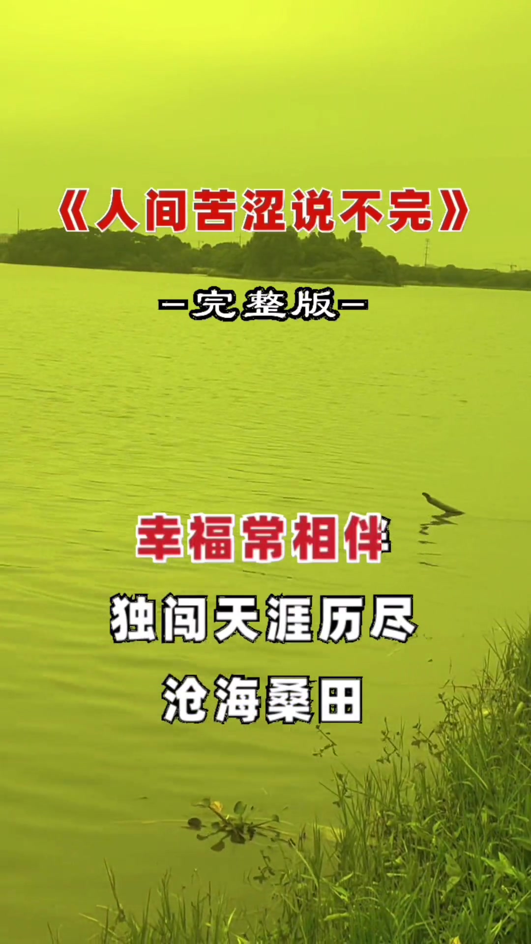 活出了答案是什么歌_答案歌名_活水源记答案