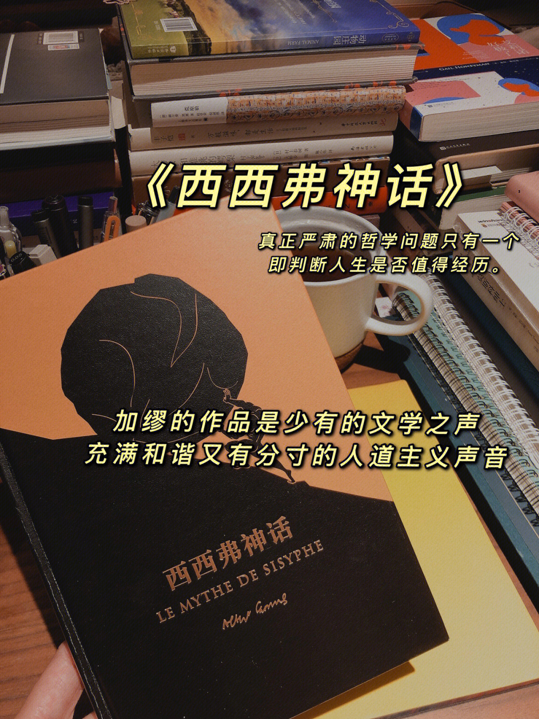 米西米西_西西米托_米西米西是啥