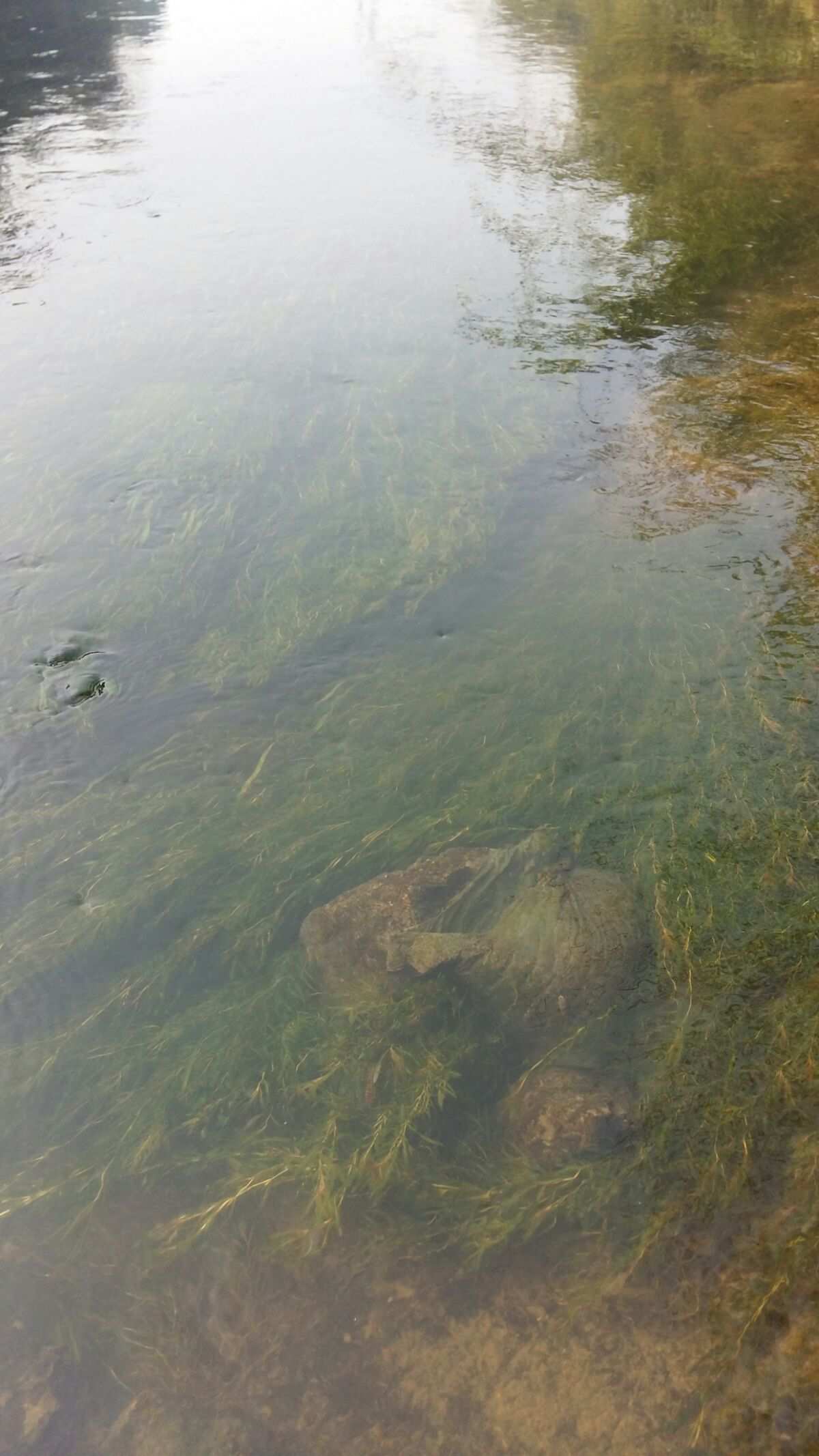 清水健一_清水如泉_清水混凝土