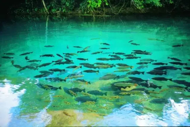 清水混凝土_清水健一_清水如泉