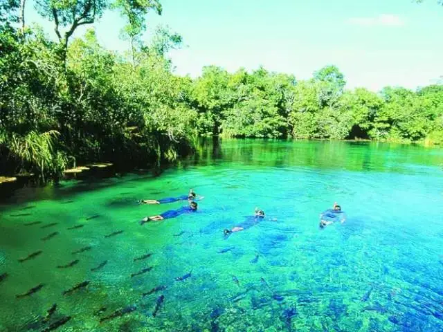 清水混凝土_清水如泉_清水健一