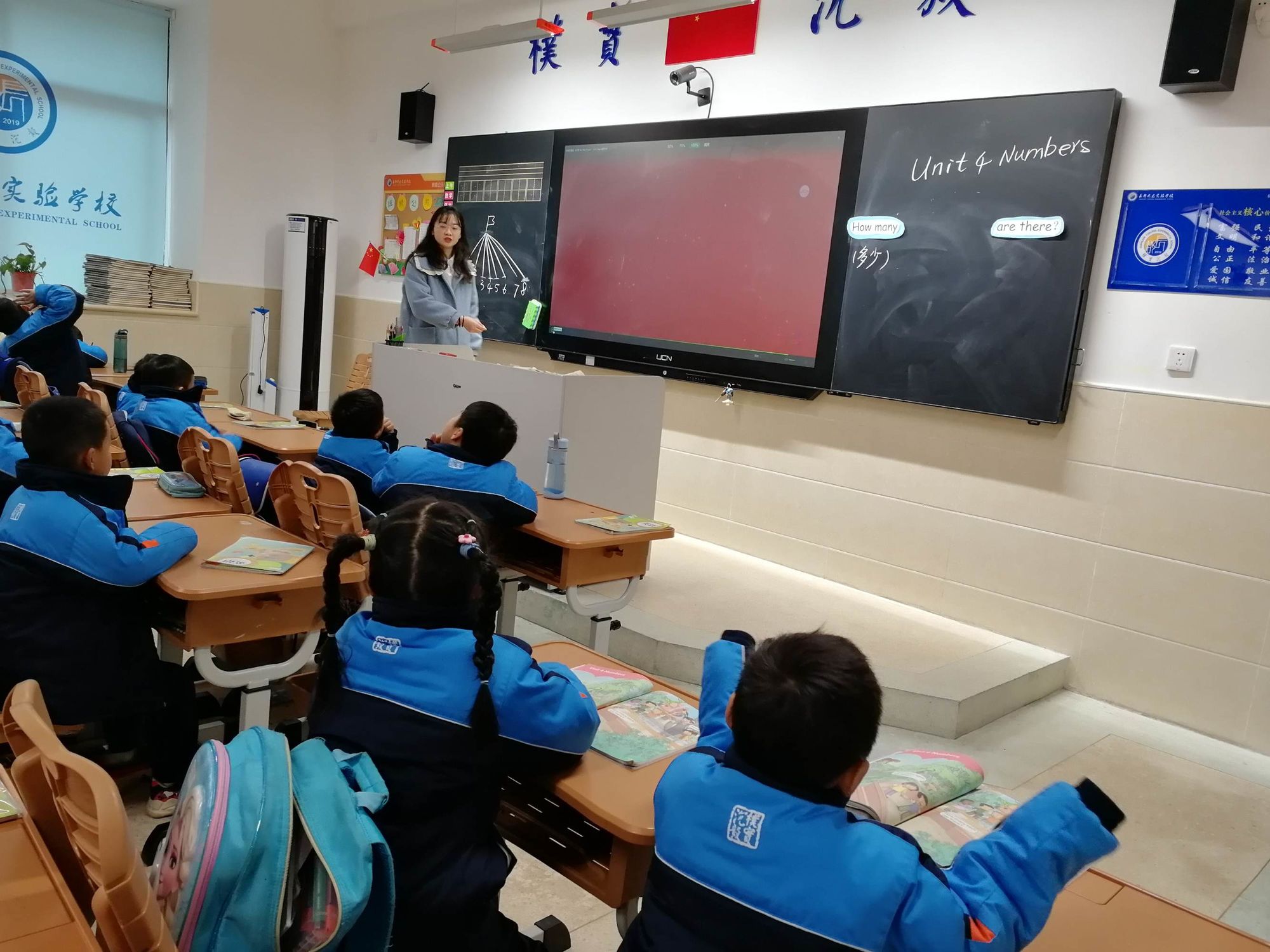蓝鸟小飞机_小蓝鸟_蓝鸟小姐姐什么意思